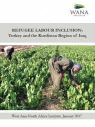 Refugee Labour Inclusion: Turkey and the Kurdistan Region of Iraq