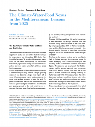 The Climate-Water-Food Nexus in the Mediterranean: Lessons from 2025
