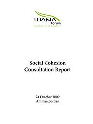 Social Cohesion Consultation Report