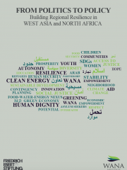 From Politics to Policy: Building Regional Resilience in West Asia and North Africa