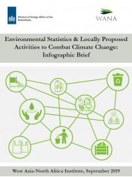Environmental Statistics & Locally Proposed Activities to Combat Climate Change: Infographic Brief