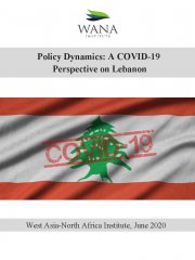 Policy Dynamics: A COVID-19  Perspective on Lebanon