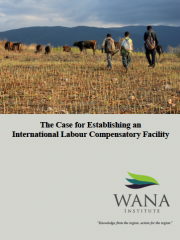 The Case for Establishing an International Labour Compensatory Facility