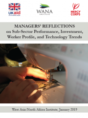 Managers’ Reflections on Sub-Sector Performance, Investment, Worker Profile, and Technology Trends